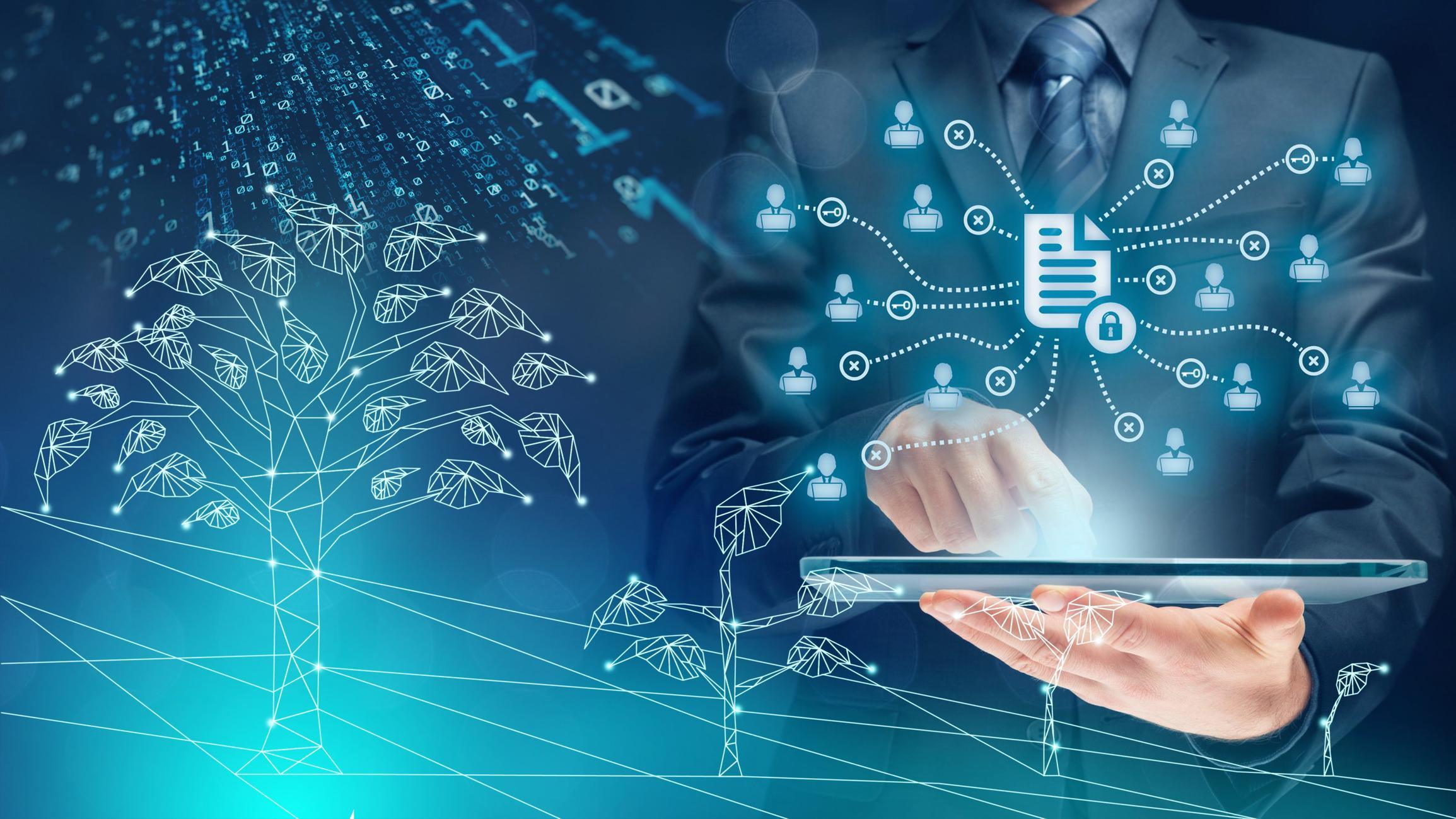 Read more about the article Digitalizarea serviciilor la CAR Viitorul – stadiu actual și direcții de dezvoltare