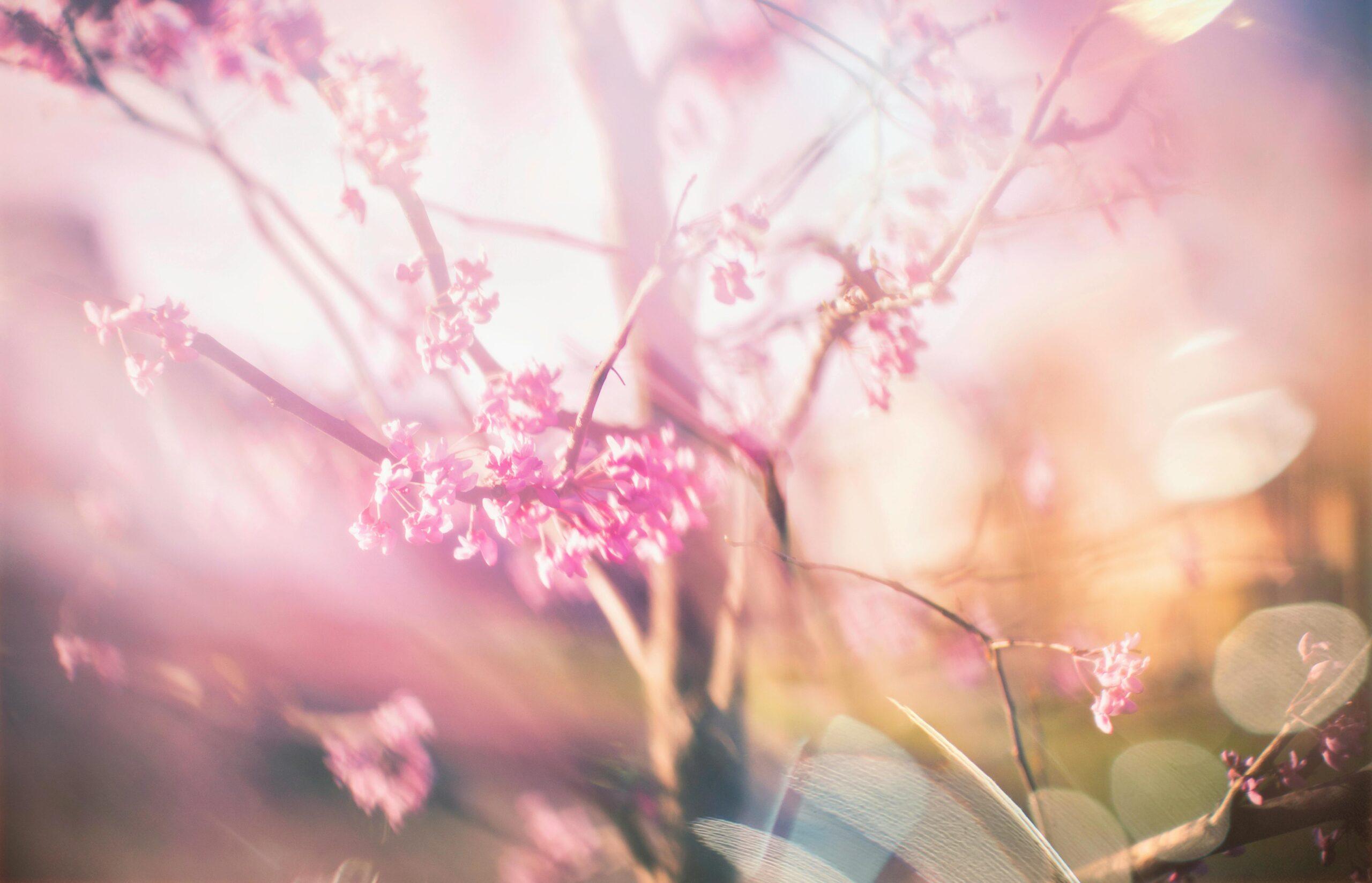 Read more about the article Împrumutul de Paște de la C.A.R. Viitorul