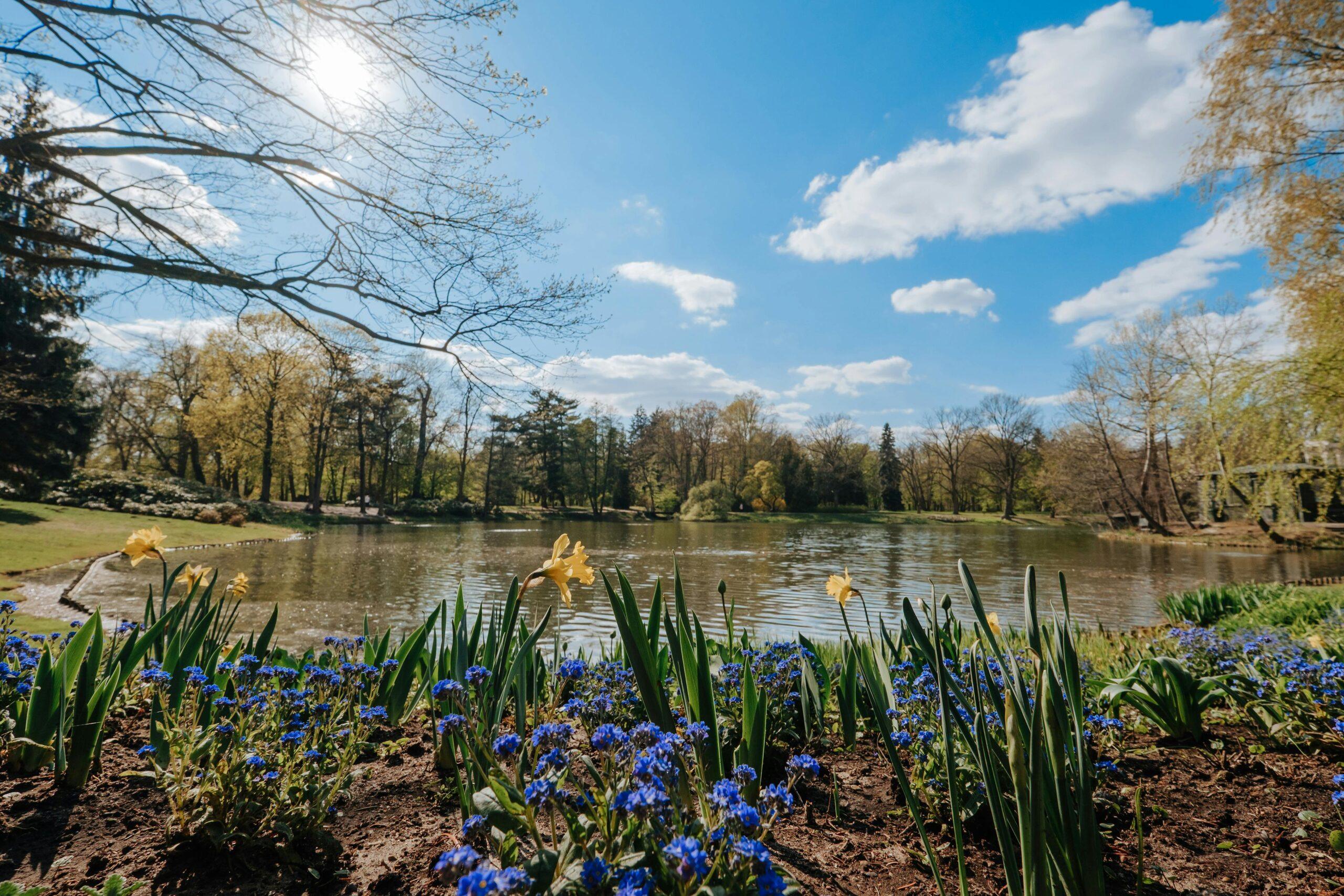 You are currently viewing Minivacanță de 1 Mai cu Buget Redus: Idei și Sfaturi de Finanțare